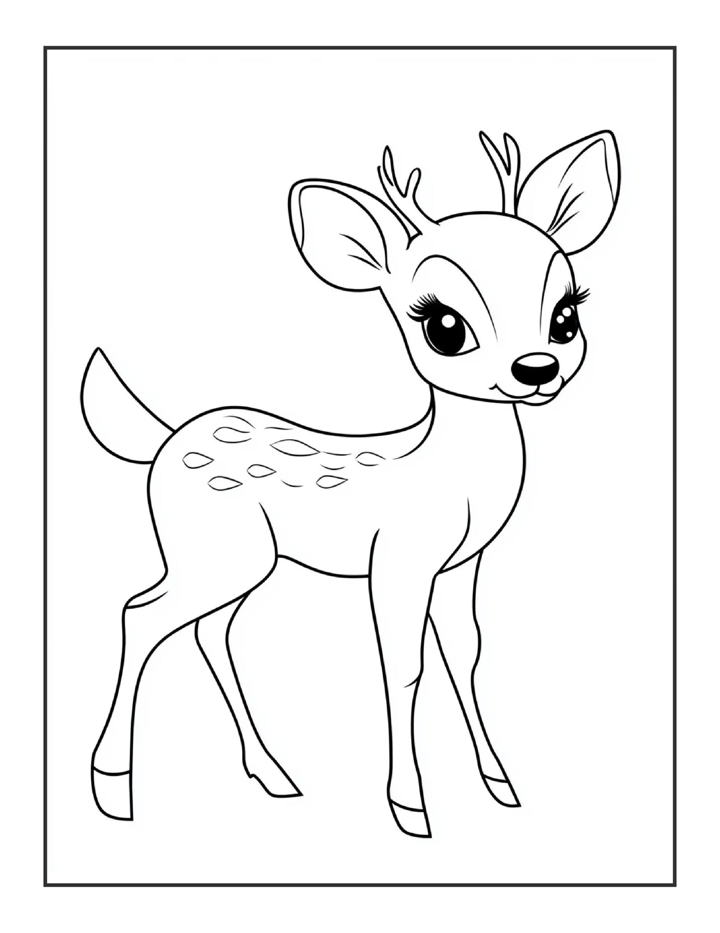240 Animal and Flower Coloring Pages For Kids-Robs Books
