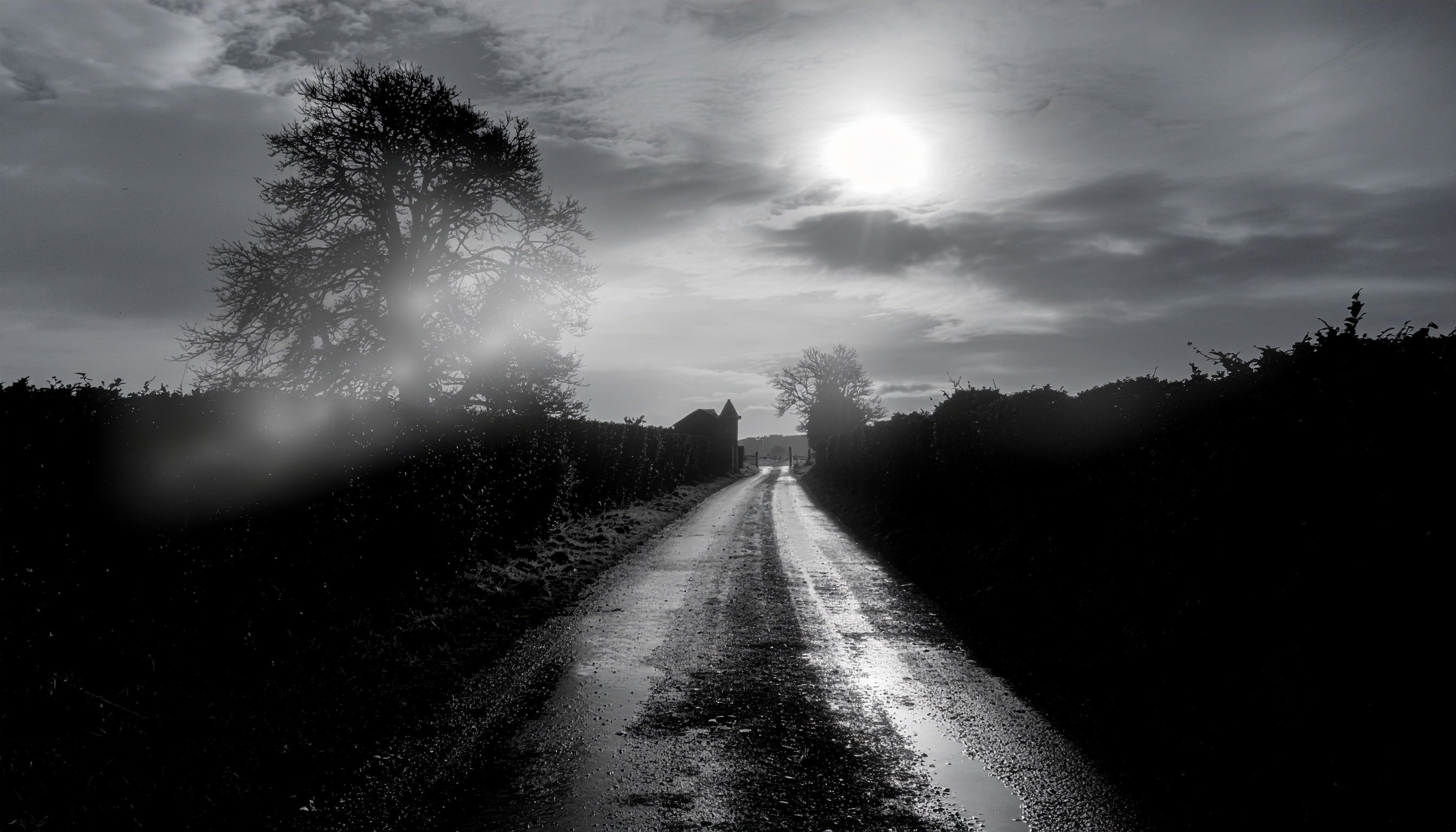 Black Dogs and Phantom Hounds of Britain: Omens, Guardians and Things Best Not Followed - Robs Books