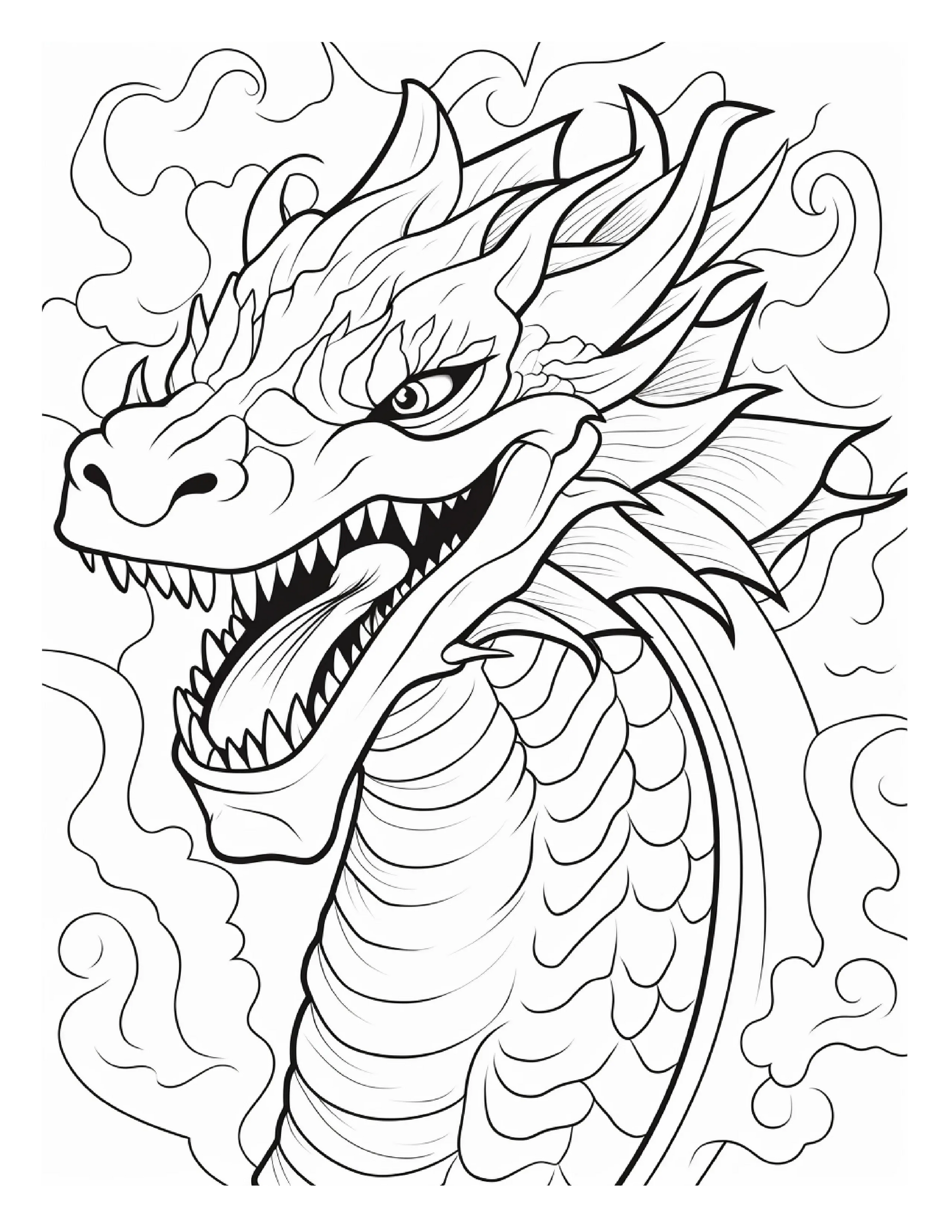 255 Dragon Coloring Pages For Adults-Robs Books