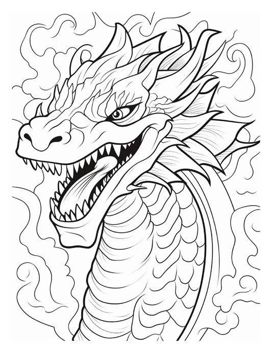 255 Dragon Coloring Pages For Adults-Robs Books