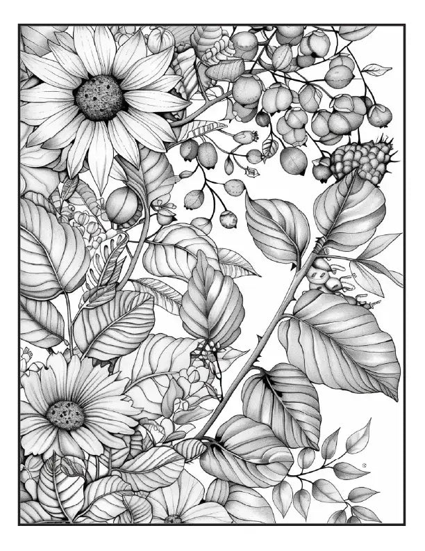 200 Butterfly Girl ColoringPages for Adults-Robs Books
