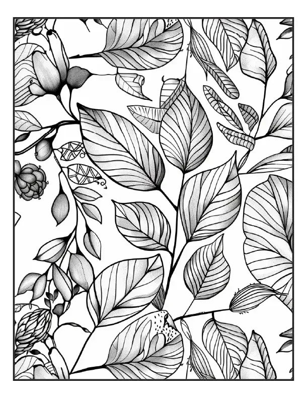 200 Butterfly Girl ColoringPages for Adults-Robs Books