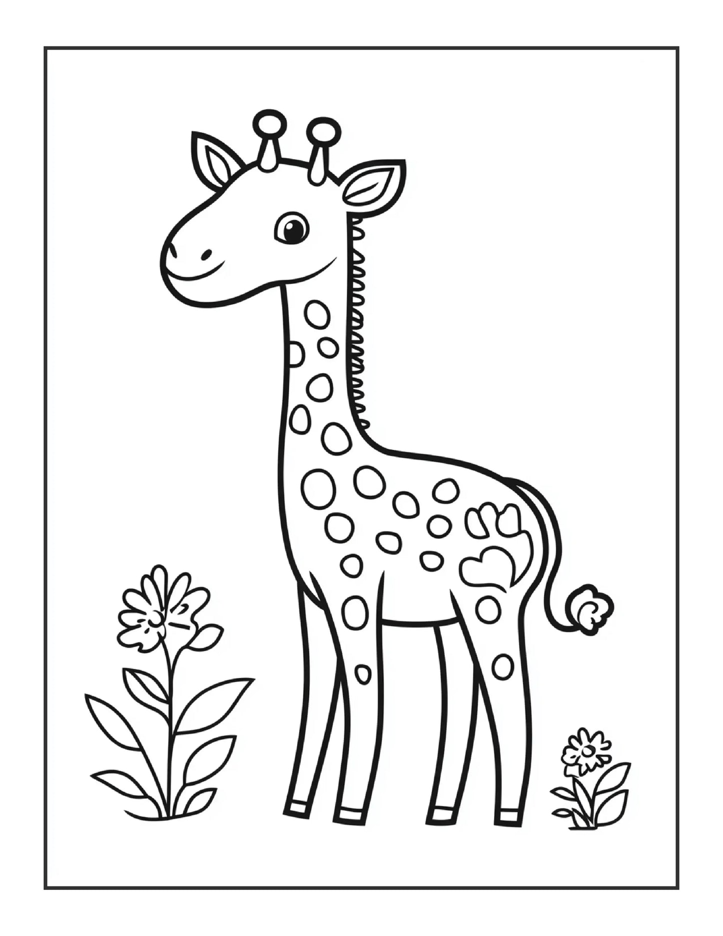 240 Animal and Flower Coloring Pages For Kids-Robs Books