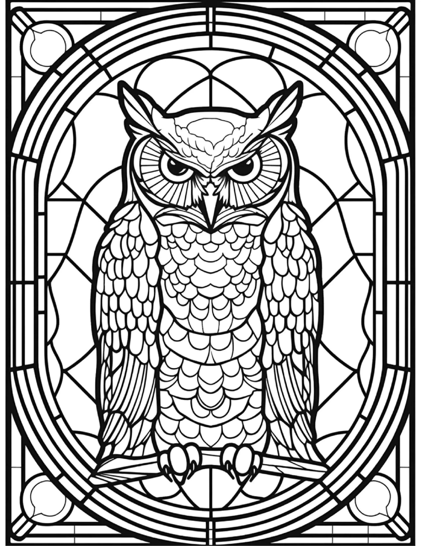 150 Stained-Glass Owl Coloring Pages-Robs Books