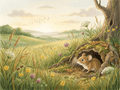 The Brave Little Mouse - Robs Books